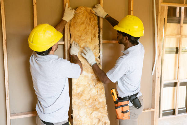 Best Insulation Replacement Services  in Carpendale, WV