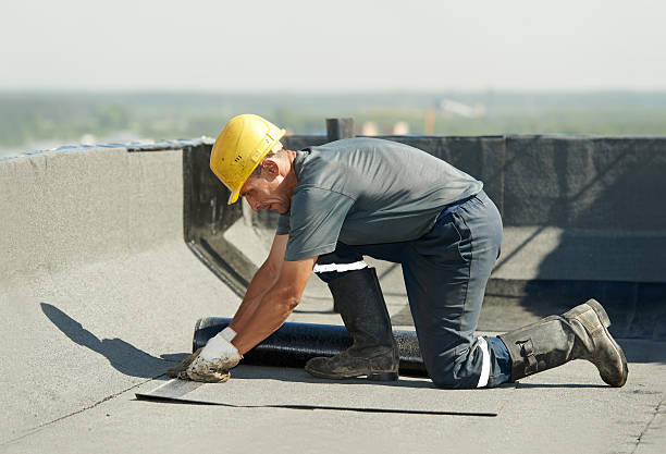 Best Professional Insulation Contractor  in Carpendale, WV